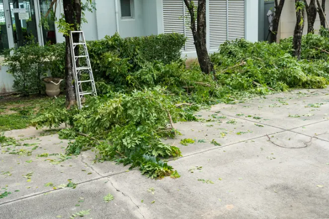Why Tree Removal Is Necessary For Property Safety in Millersville MD